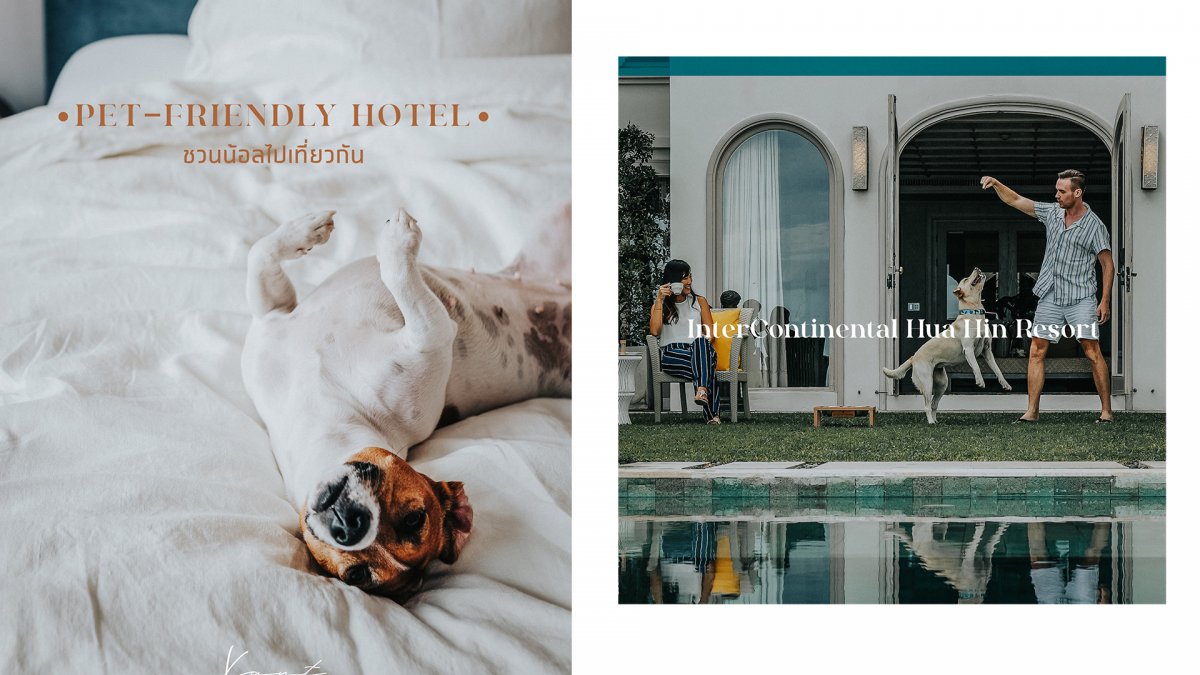 PET-FRIENDLY HOTEL & RESORT
