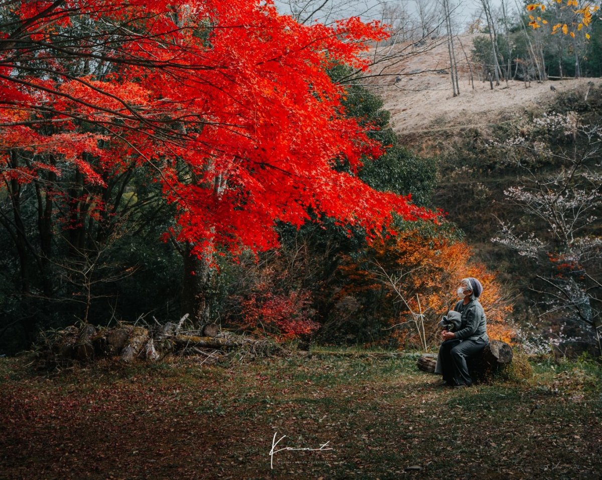 Korankei, JAPAN