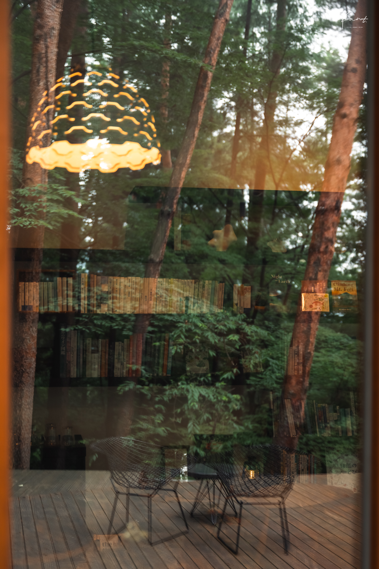 เงาสะท้อน Cabin ท่ามกลางป่าสนที่ HOSHINOYA Fuji
