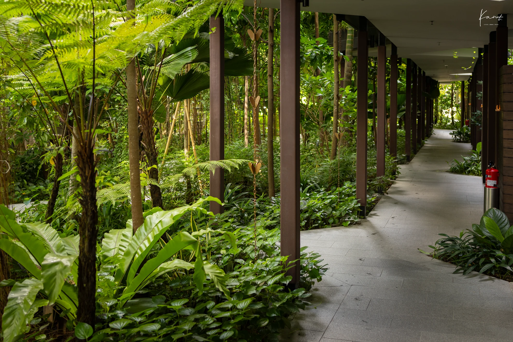 ทางเดินผ่านสวนป่ากลางเมืองฝั่ง Terrace Wing