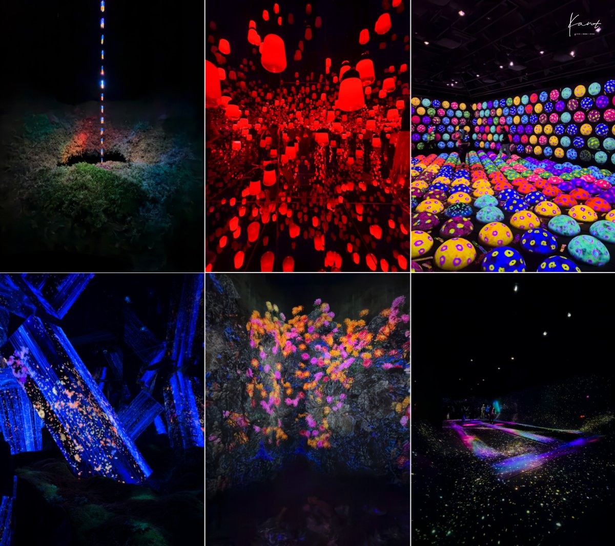 ผลงานดิจิทัลอาร์ตหลายชิ้นใน teamLab Biovortex Kyoto