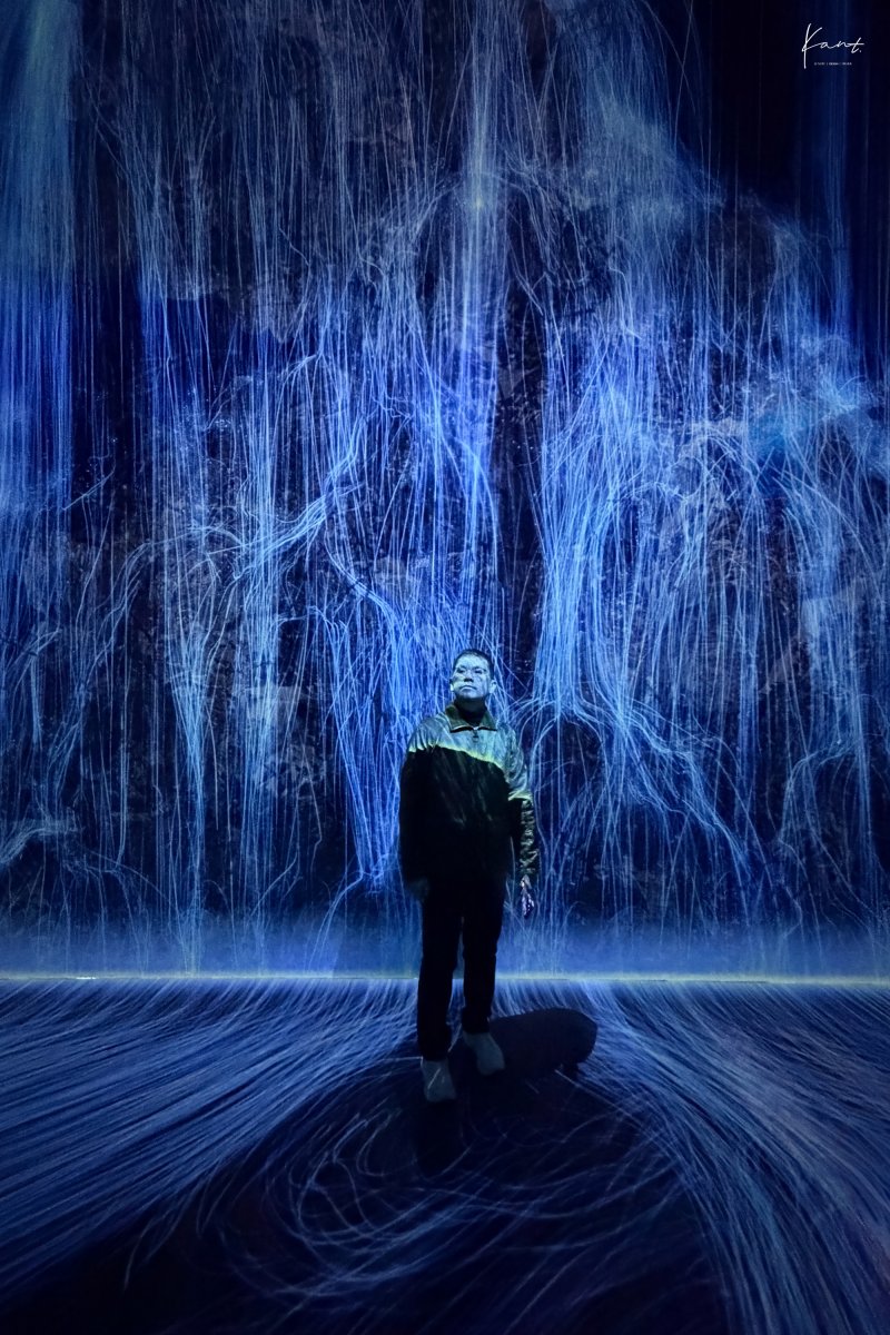 งานแสงสีน้ำเงินใน teamLab Biovortex Kyoto
