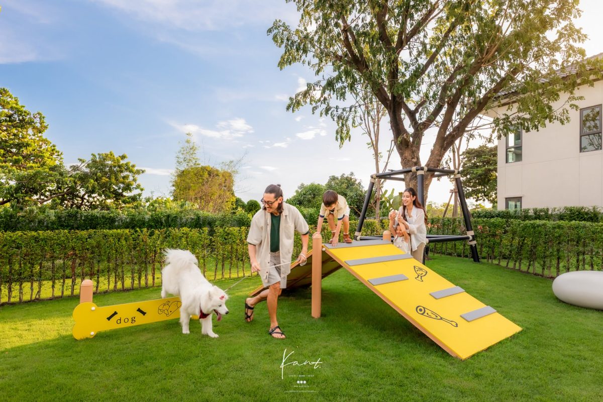 Pet Park มีทางลาดและเครื่องกีดขวางเตี้ยสำหรับสุนัข