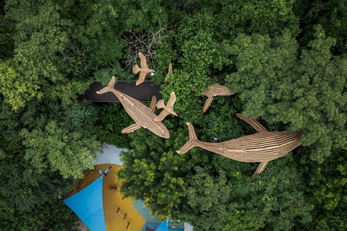 Bird’s Nest Playground บนเส้นทาง Canopy Walk มุมสูง