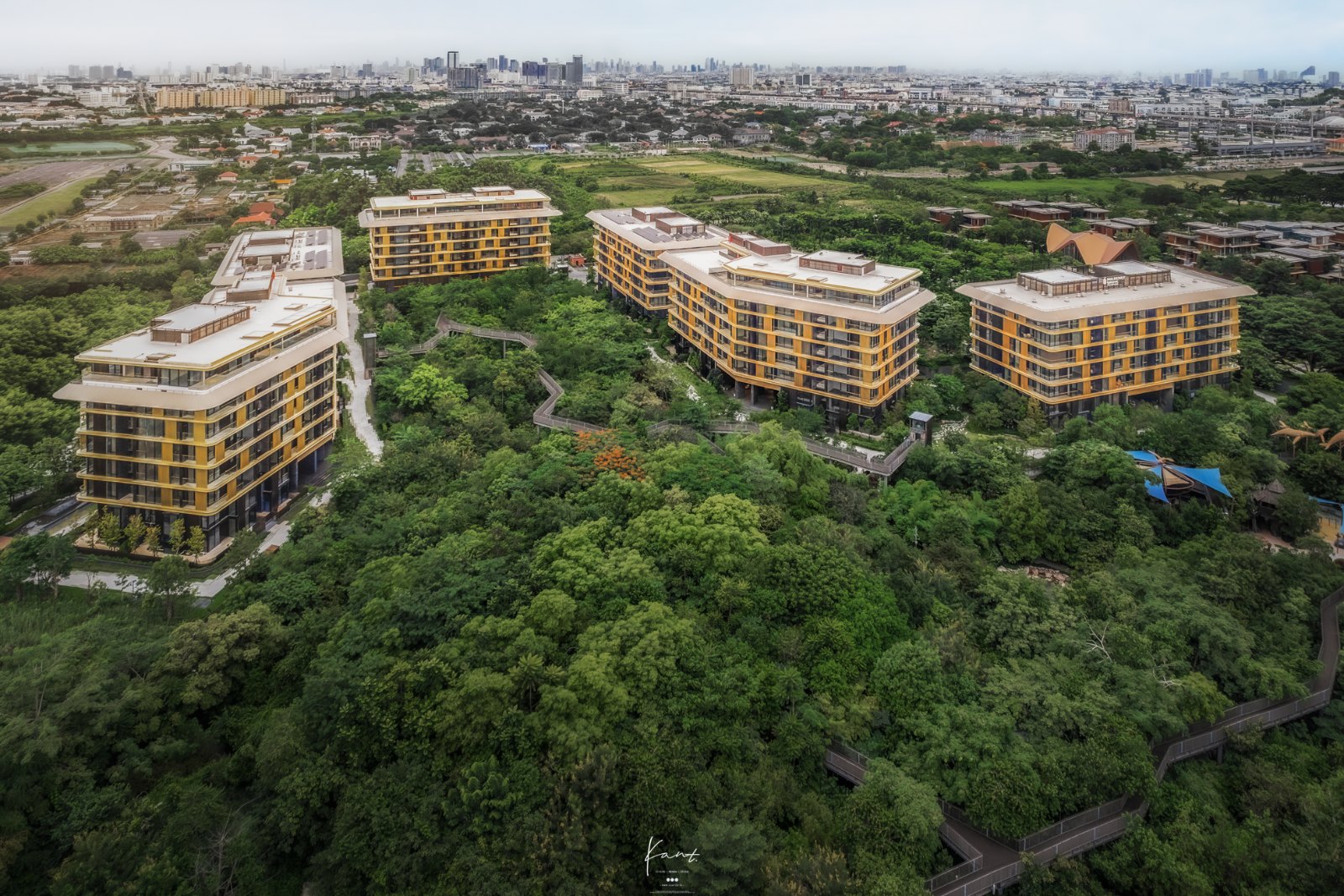 ภาพมุมสูงอาคาร Mulberry Grove The Forestias ท่ามกลางผืนป่า